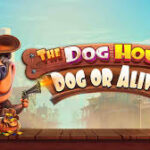 The Dog House – Dog or Alive Slot